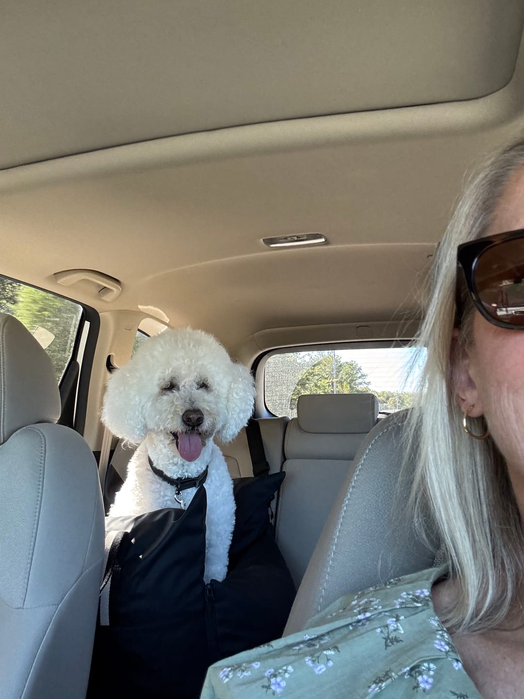 Customer photo review of Dog Dock V2 New With Latch Anchors PRE ORDER