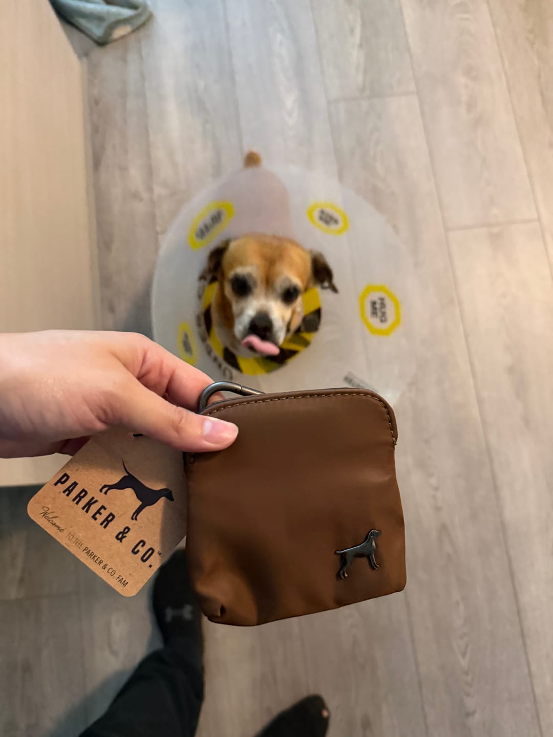Customer photo review of Dog Treat Pouch