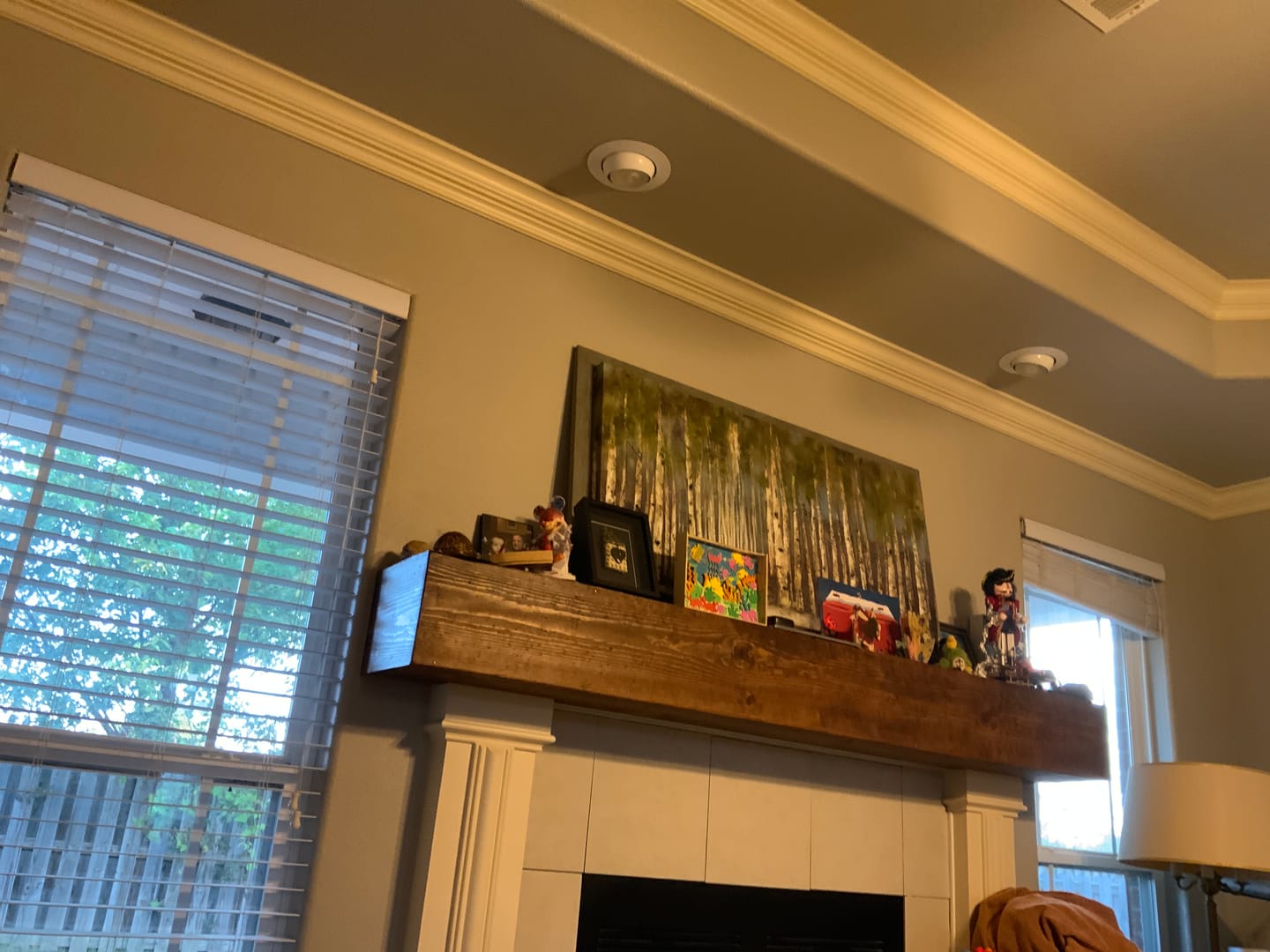 Customer photo review of Genuine NZ Greenstone Heart Necklace Wall Art