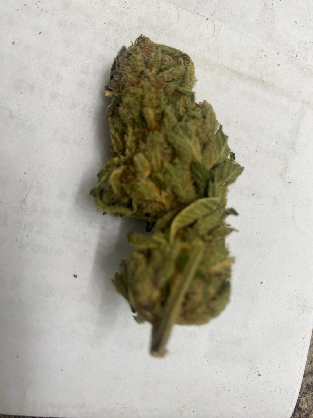 Customer photo review of Bulk THCA Smalls
