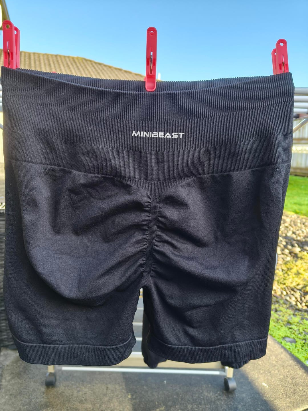 Customer photo review of Assets V4 Shorts