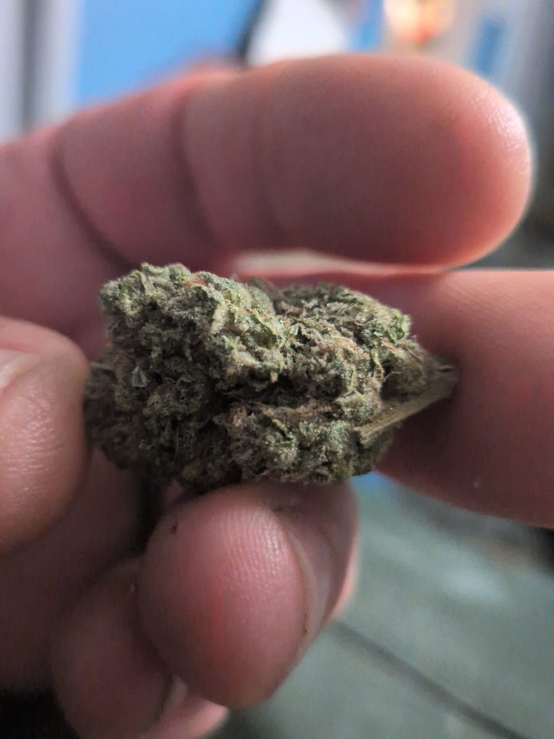 Customer photo review of White Rhino THCA Flower