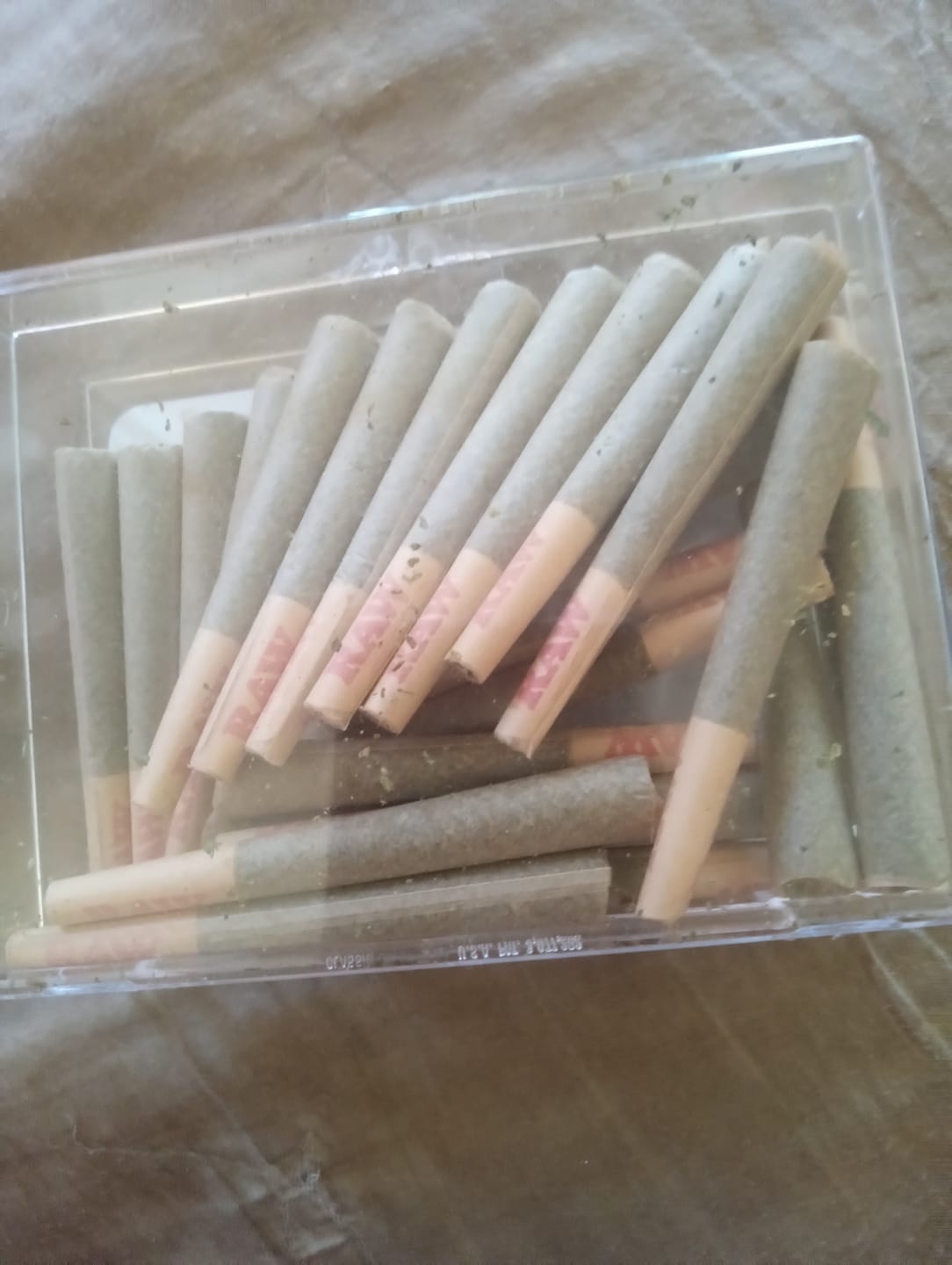 Customer photo review of Dank Forest 30ct. Pre-Rolls 1g