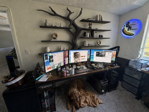 Customer photo review of Sculptural Tree Bookcase Artistic Wooden Wall Shelf