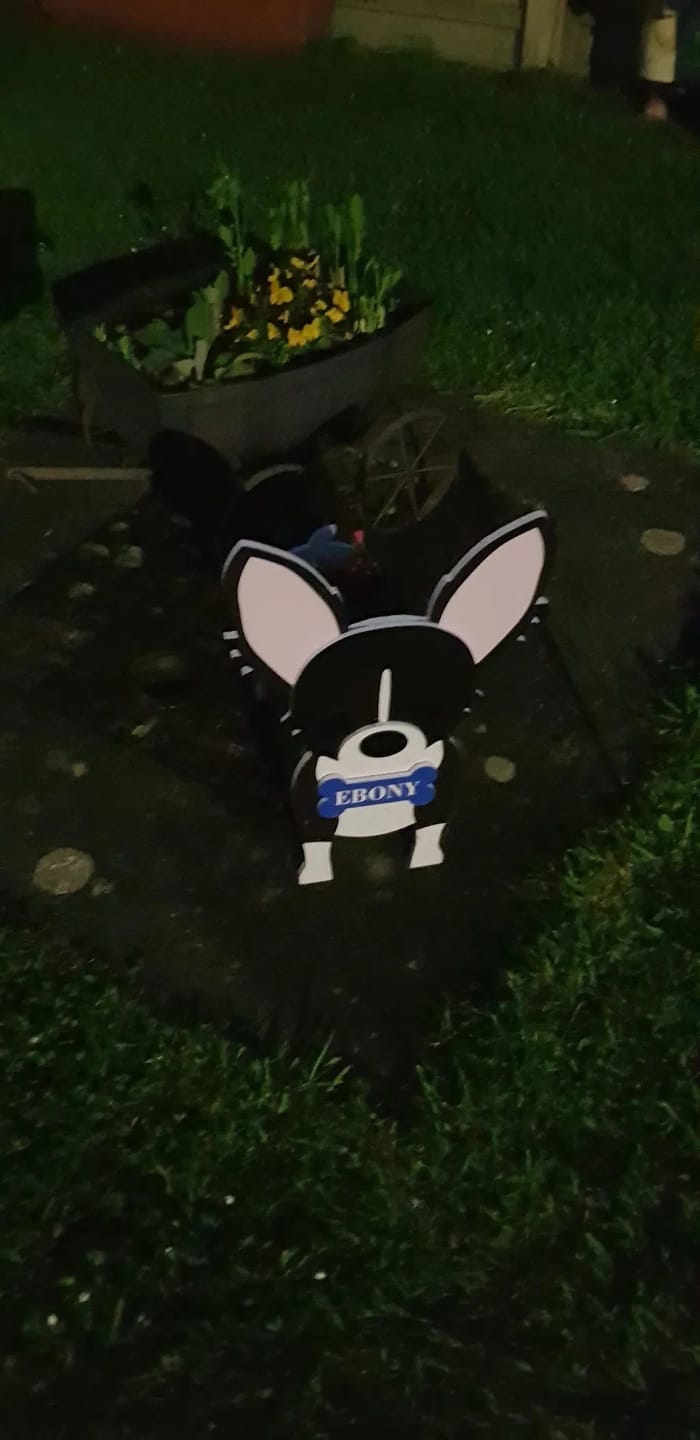 Customer photo review of Dog Planter - Chihuahua