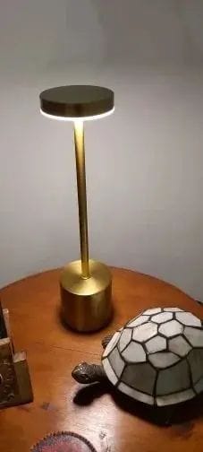 Customer photo review of Luminária de Mesa Sem Fio Recarregável Nomad Glow