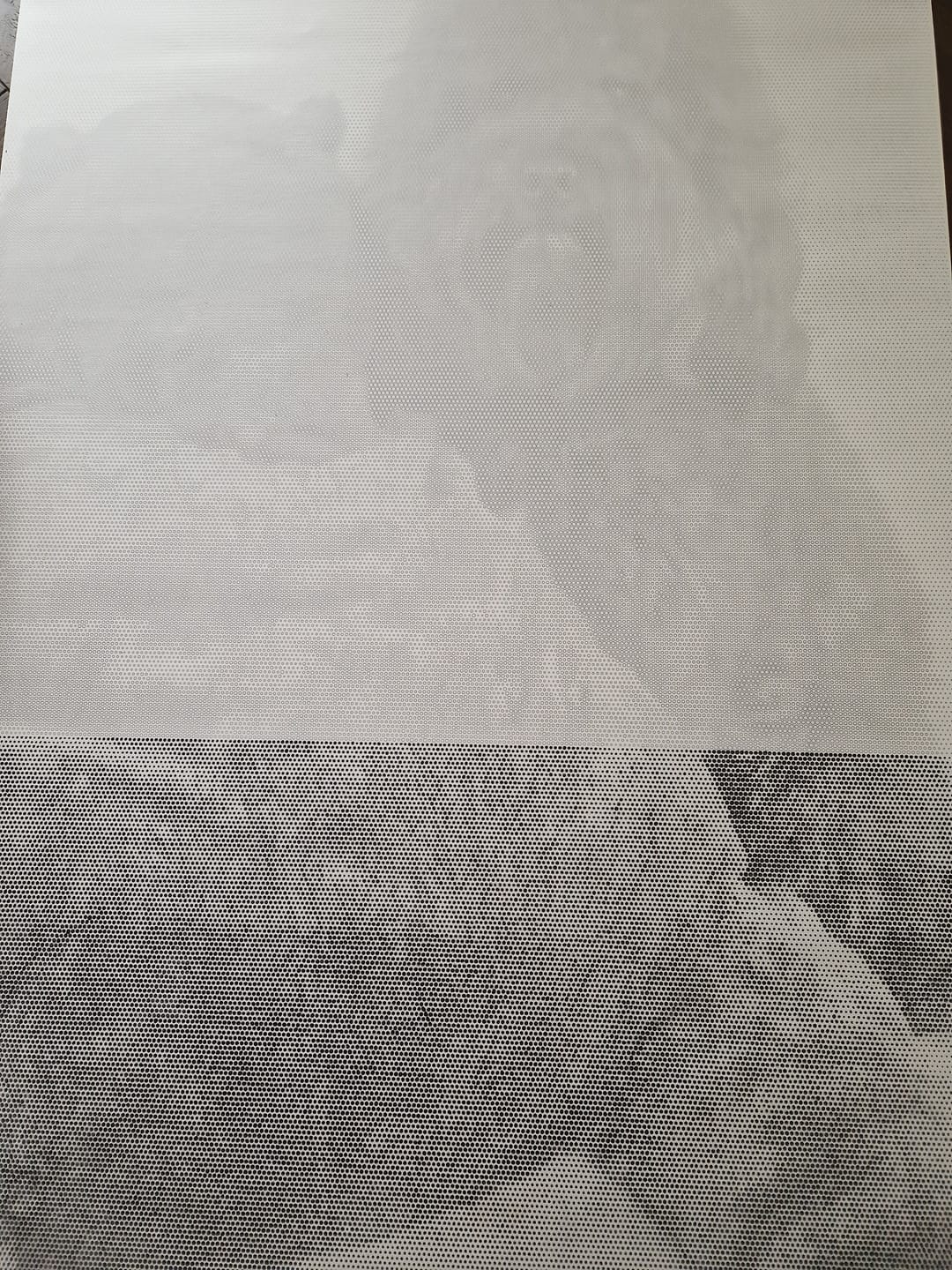 Customer photo review of Dot painting van eigen foto - gemaakt in Nederland
