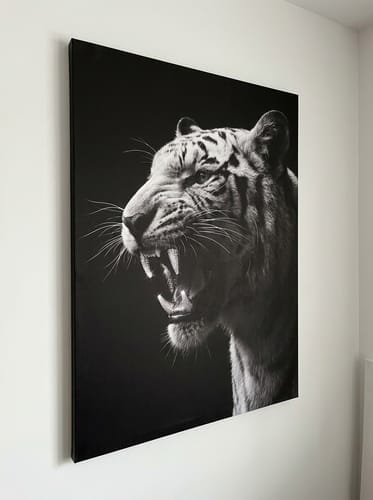 Customer photo review of White Tiger Iced Out