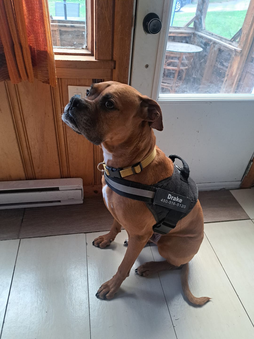 Customer photo review of Extra Nickname Patch