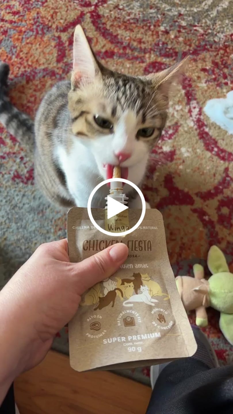 Customer video review of Chicken Fiesta Gatos