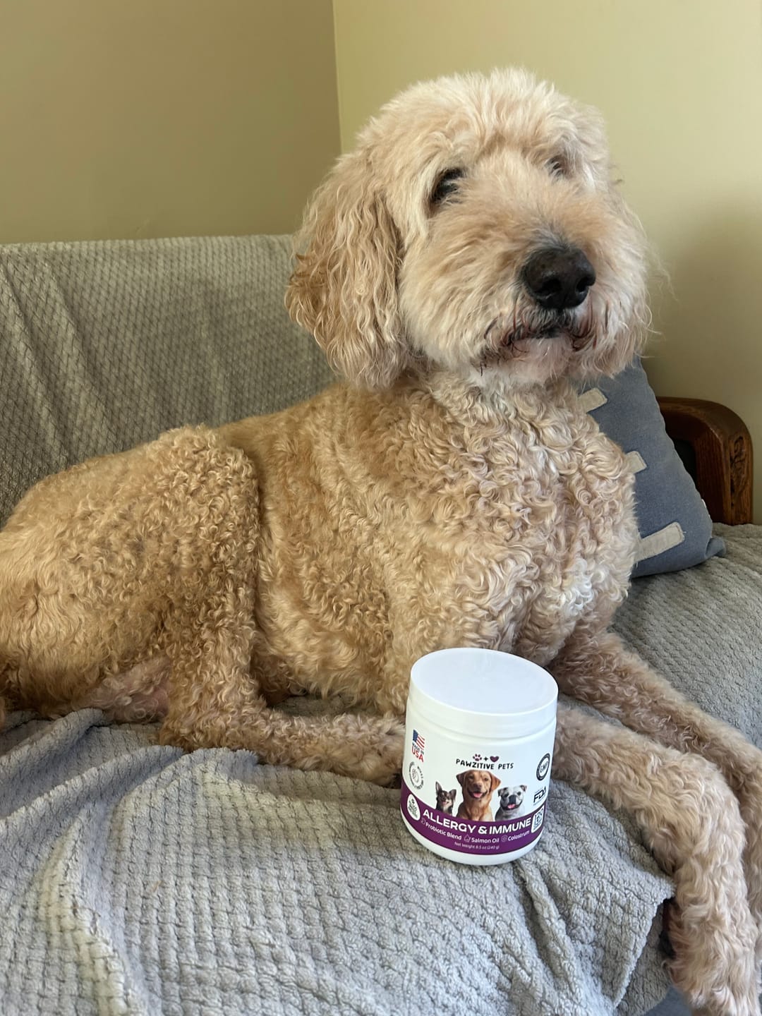 Customer photo review of Dog Allergy Chews for Itchy Skin, Paw Licking & Seasonal Allergies – Immune Support, 120 Soft Chews (Beef Flavor)