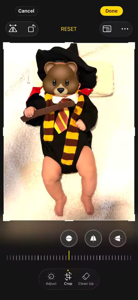 Customer photo review of Ashton Little Potter
