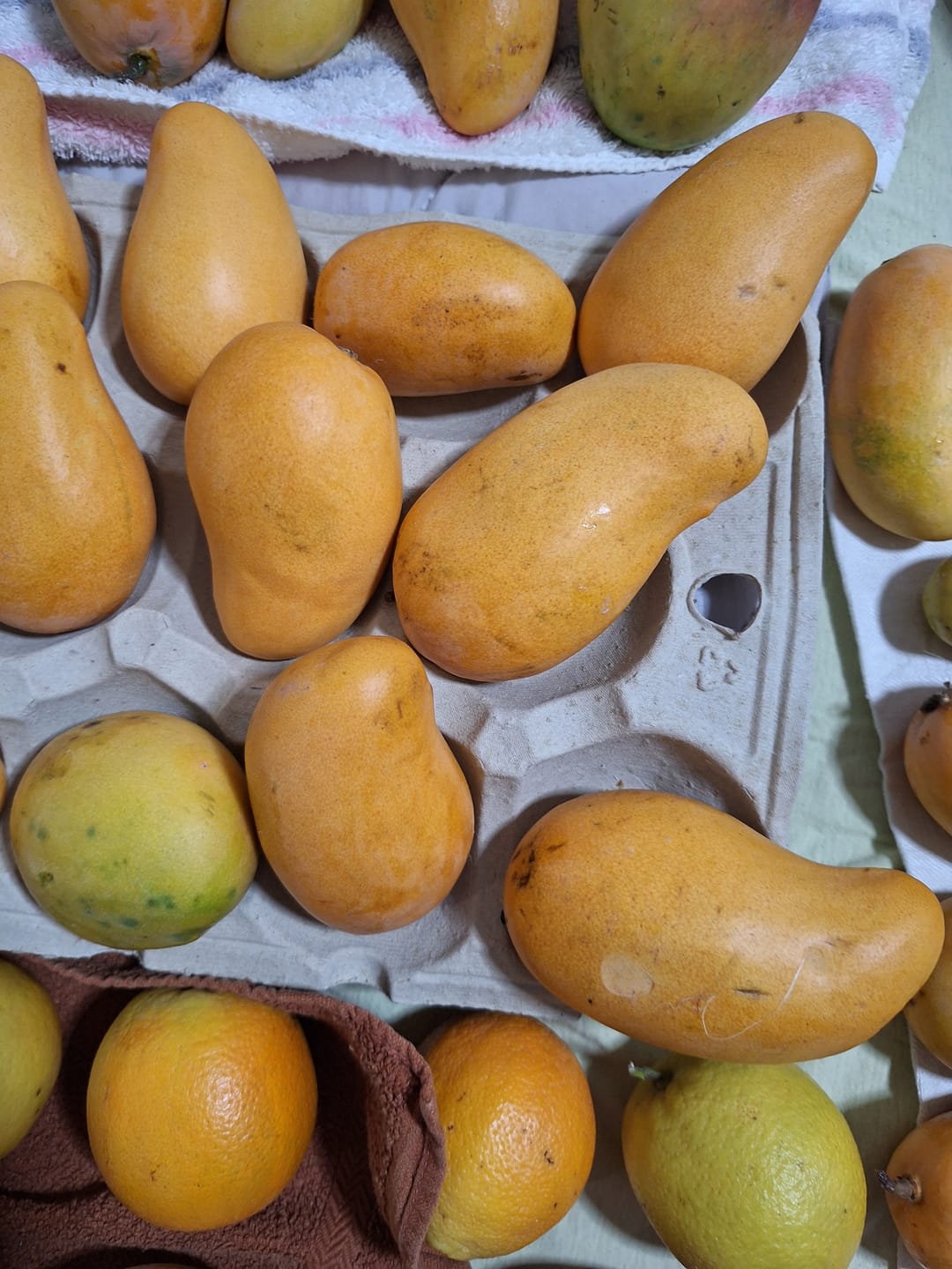 Customer photo review of Mango Honig „Ataulfo“ Bio von Julian