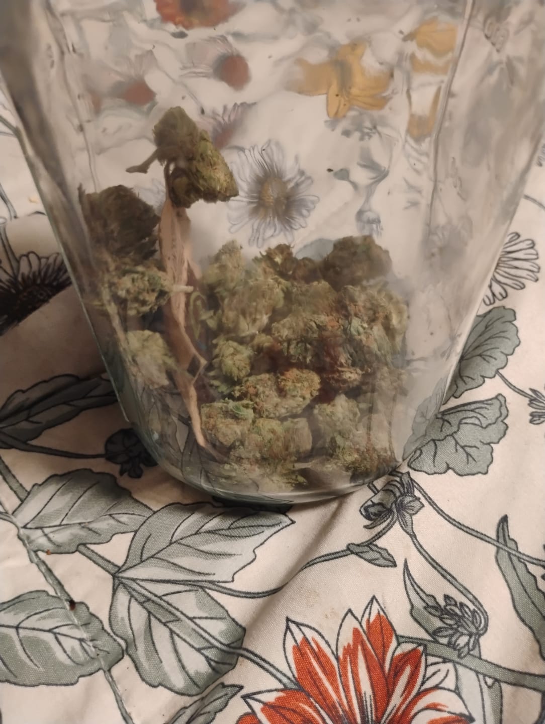 Customer photo review of Gorilla Glue THCA Flower