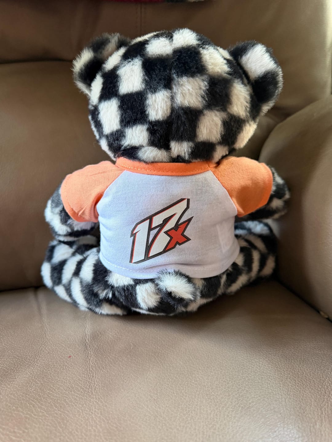 Customer photo review of Custom Plushie T-Shirt | Fits 6-8 Inch Stuffed Animals