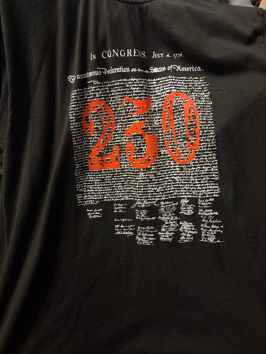 Customer photo review of FREE Declaration 250 Tee