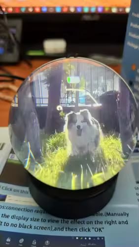 Customer photo review of 3D Video Crystal Ball