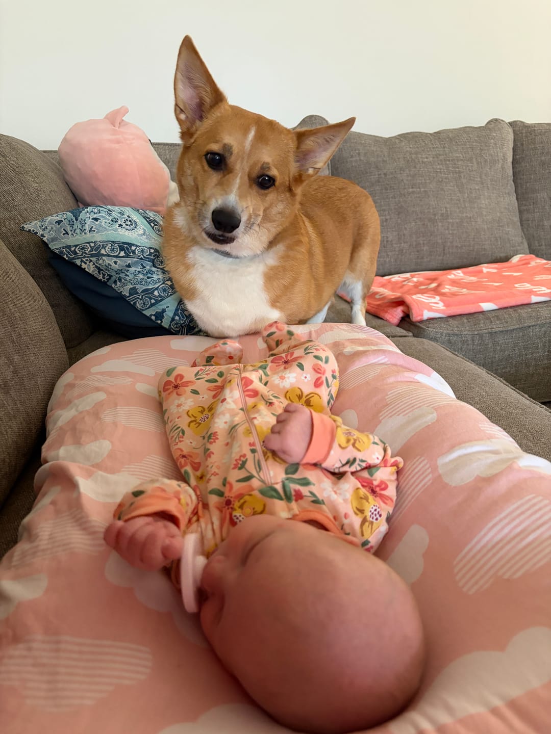 Customer photo review of Bark-Less Bites