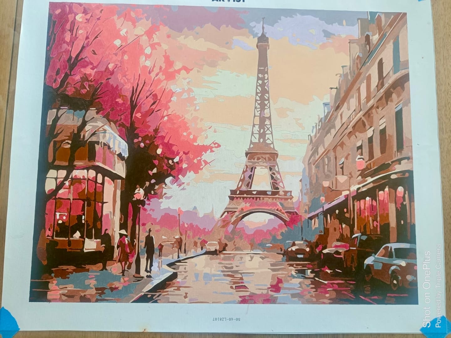 Customer photo review of Parisian Twilight