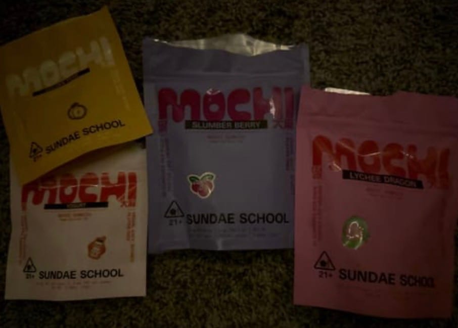Customer photo review of Mochi Discovery Pack