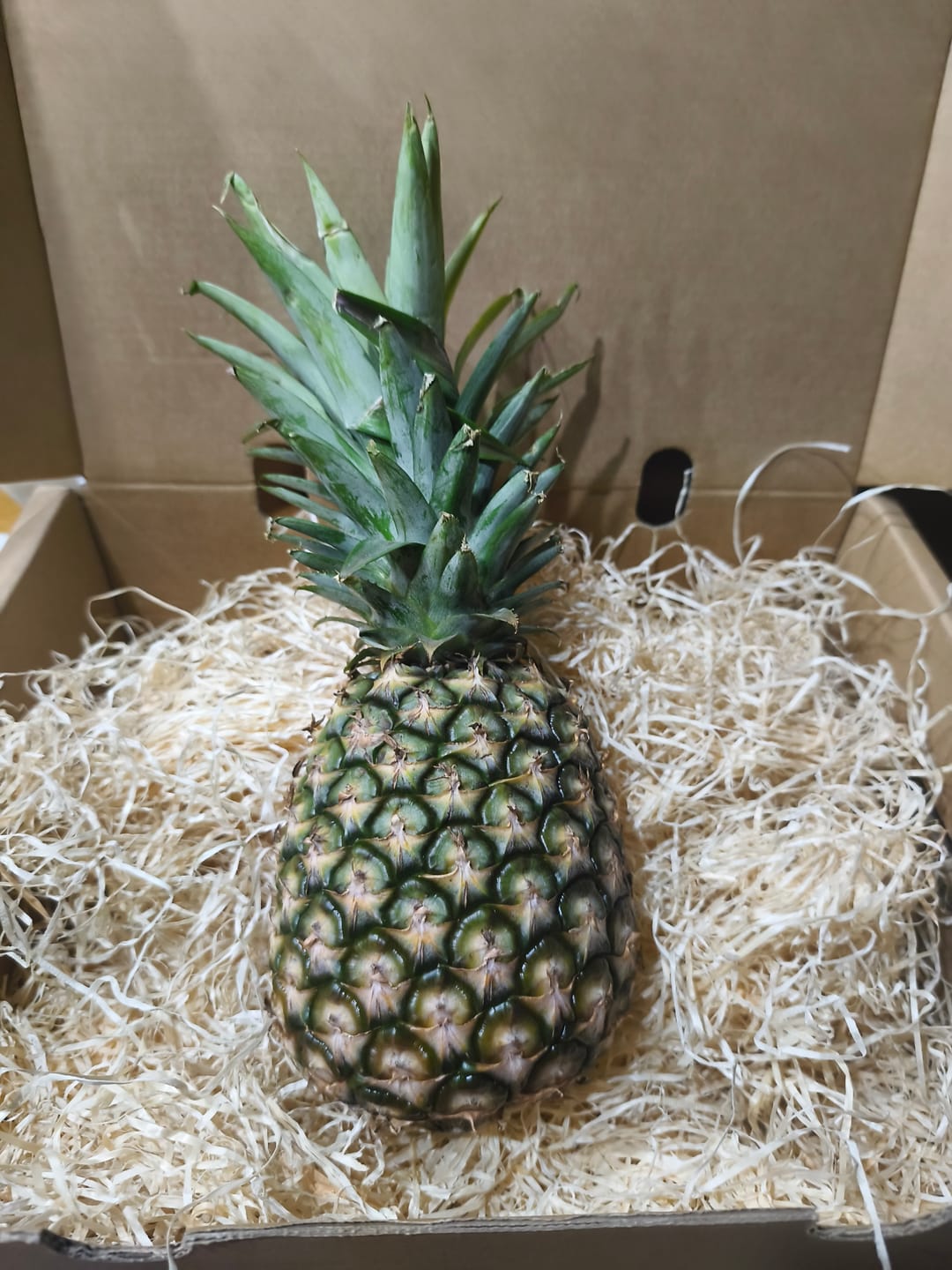 Customer photo review of Ananas Flugware reifgeerntet groß (1,5kg-1,75kg)