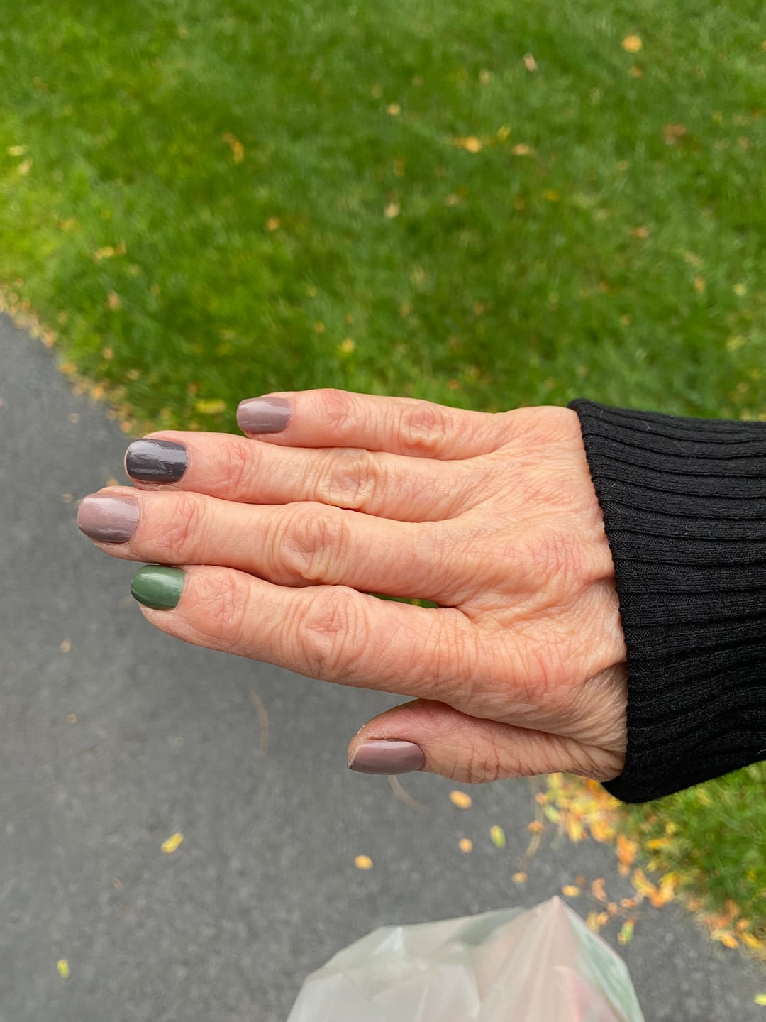 Customer photo review of Leaf It To Me Nail Lacquer