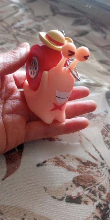 Customer photo review of Mushi Voice Grabadora