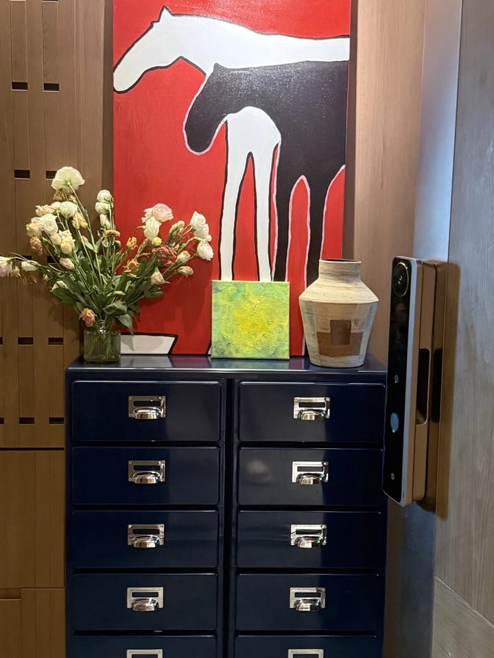 Customer photo review of KKUSO ABS 10-DRAWER CABINET - MILO TWINS  BLACK