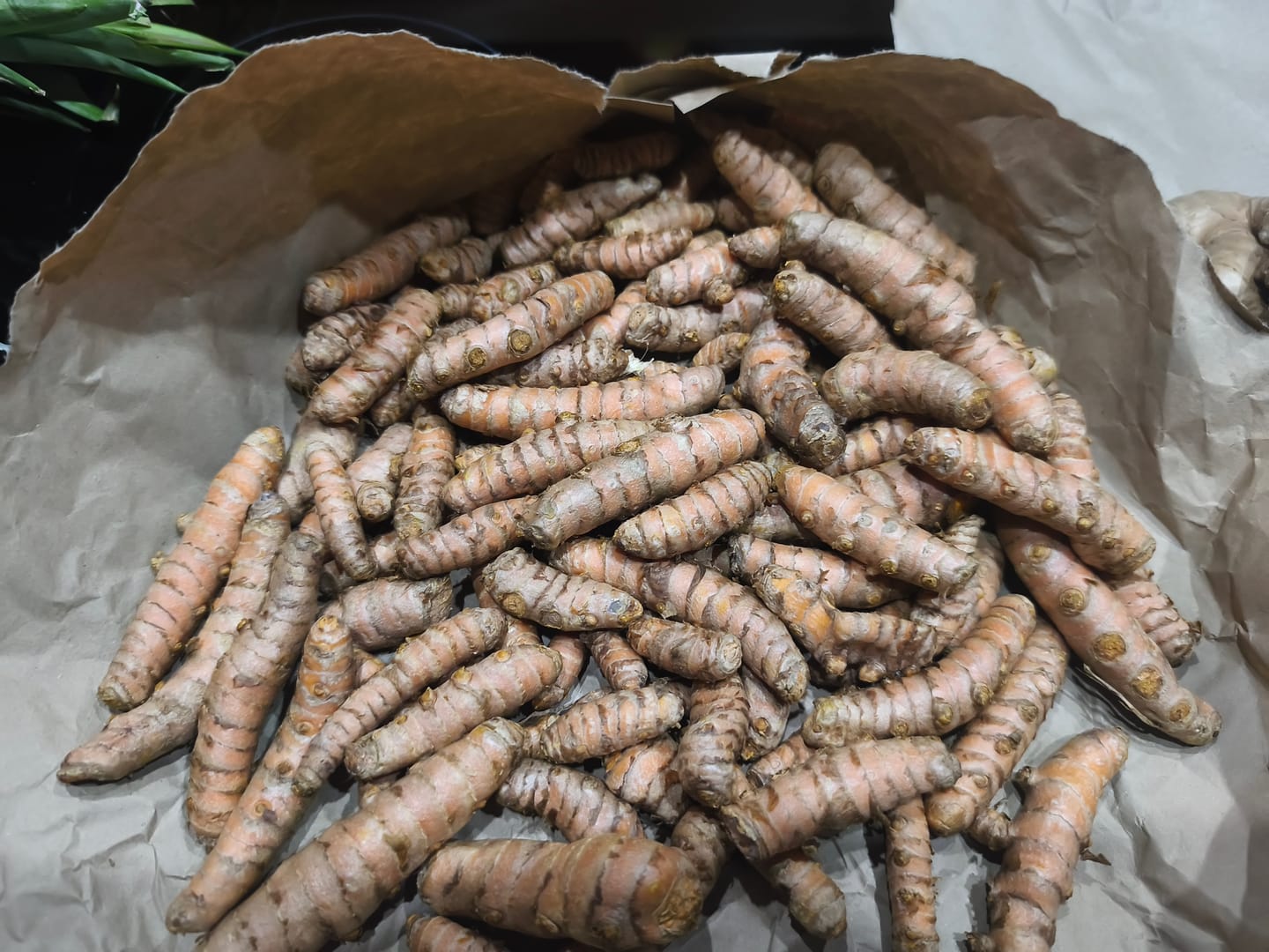 Customer photo review of Kurkuma-Wurzel Bio