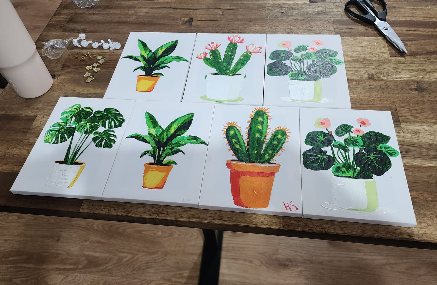 Customer photo review of 6 Mini Paintings - Gorgeous Plants Set