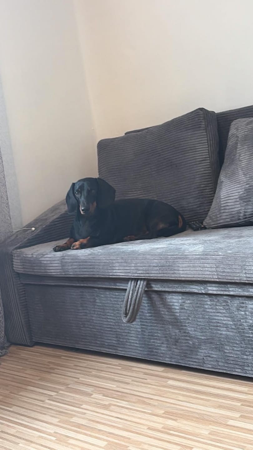 Customer photo review of Sofa NEO BS sztruks