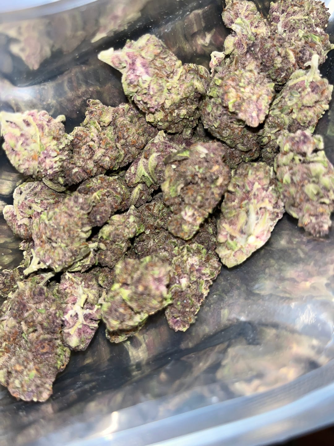 Customer photo review of Tropicana Cherry THCA Flower