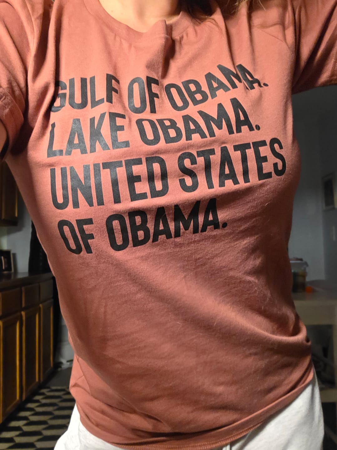 Customer photo review of Gulf of Obama. Lake Obama. The United States of Obama Unisex Tee