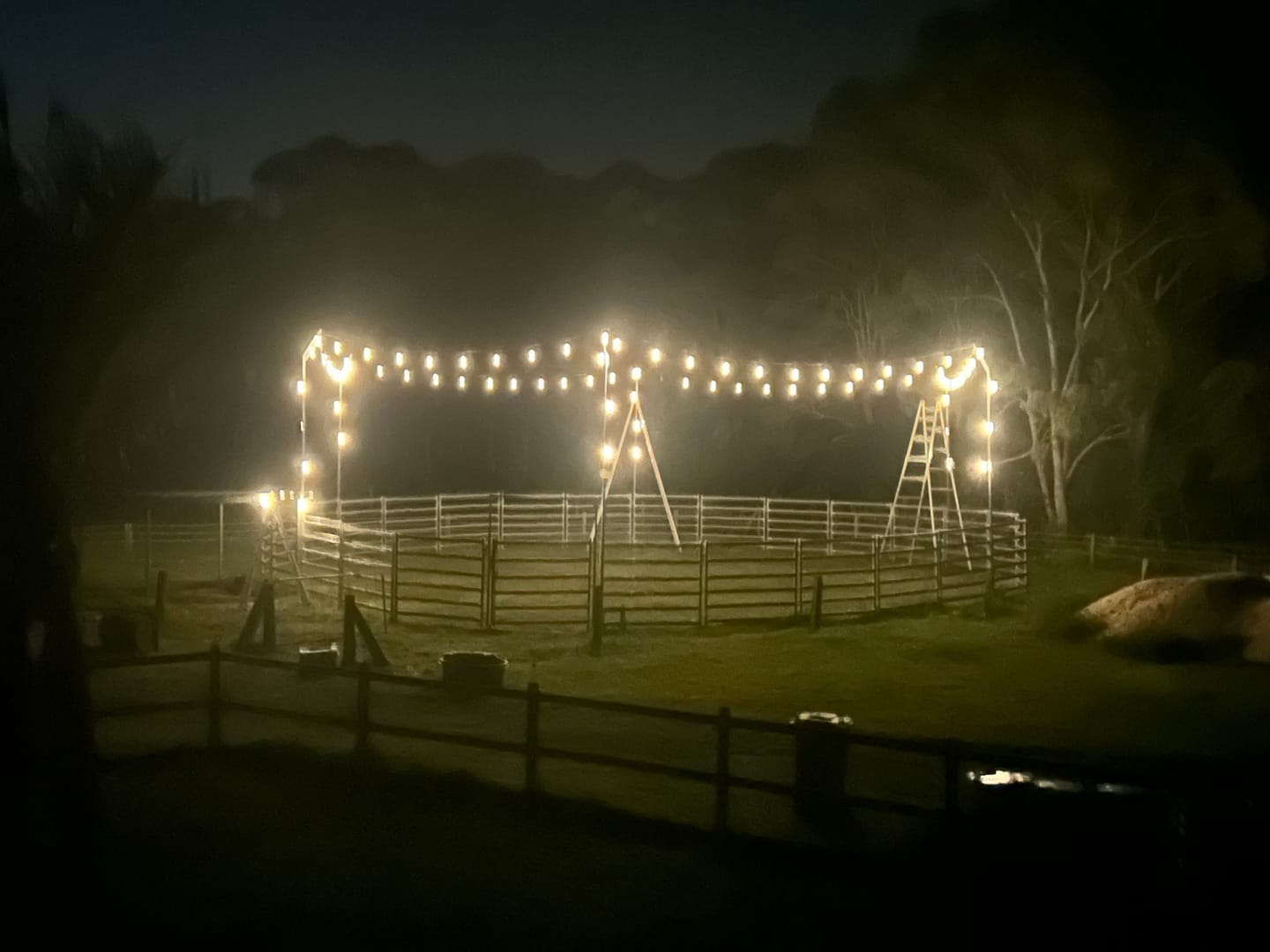 Customer photo review of Solar Festoon Lights