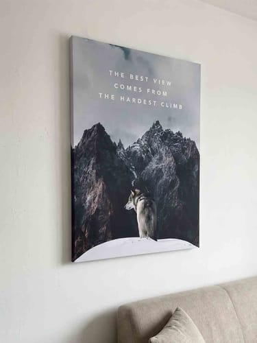 Customer photo review of Wolf Hardest Climb