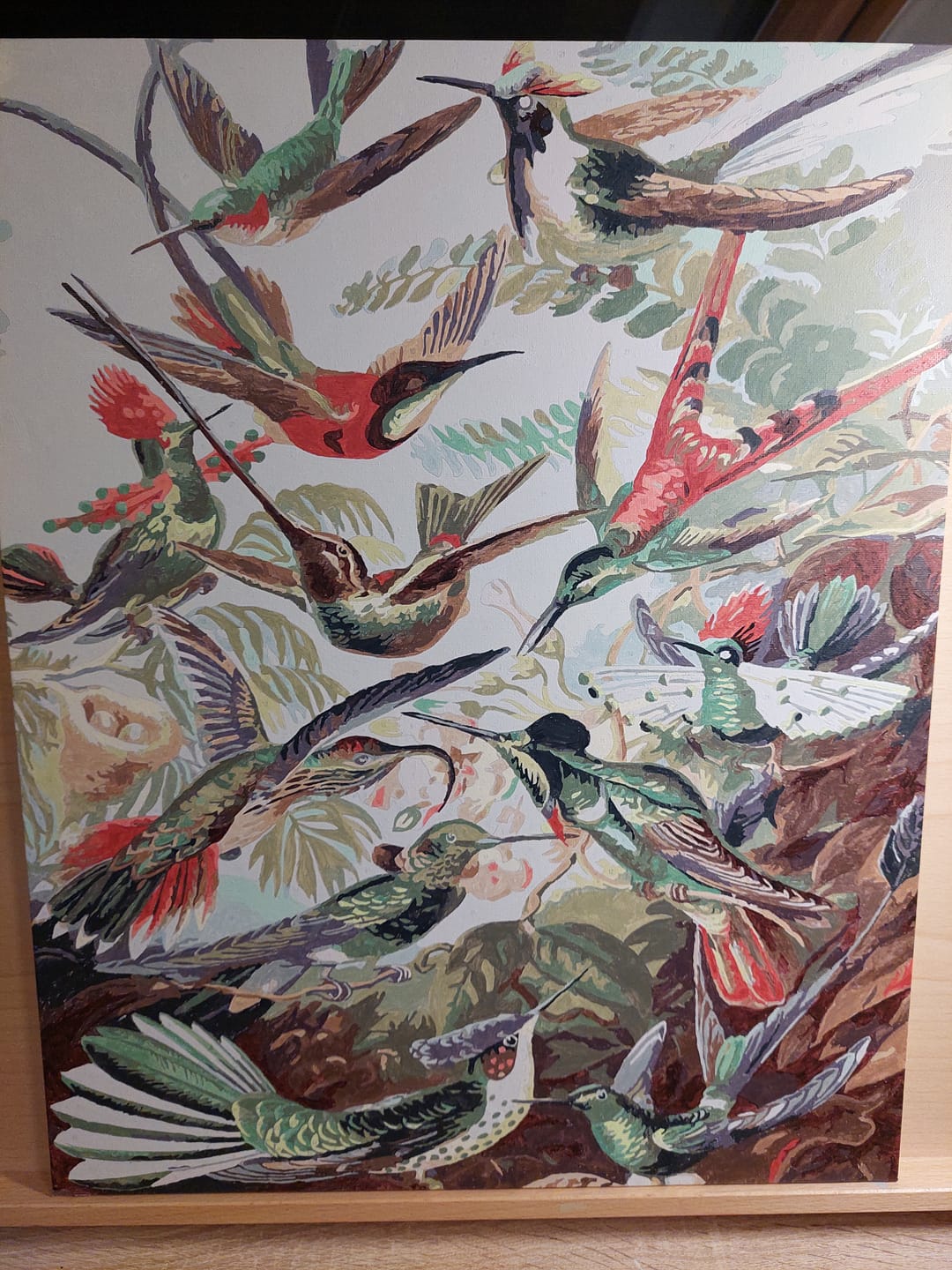 Customer photo review of Malen nach Zahlen - Trochilidae–Kolibris von Ernst Haeckel
