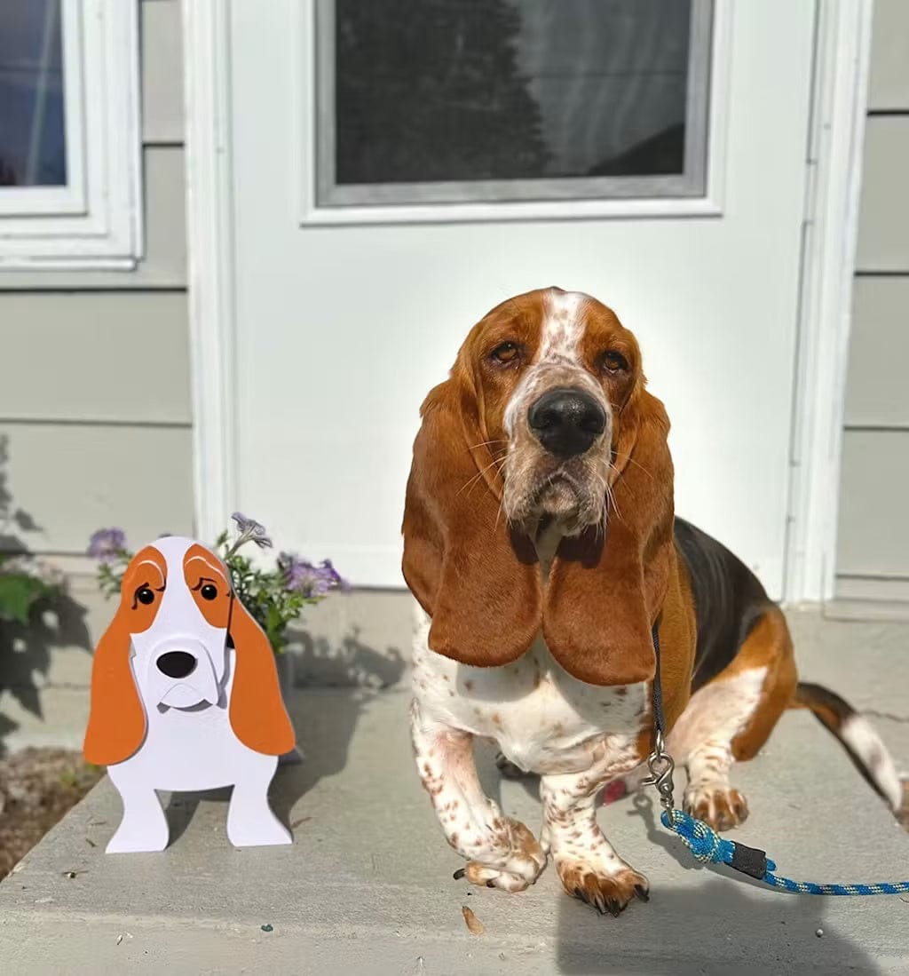 Customer photo review of Dog Planter - Basset Hound