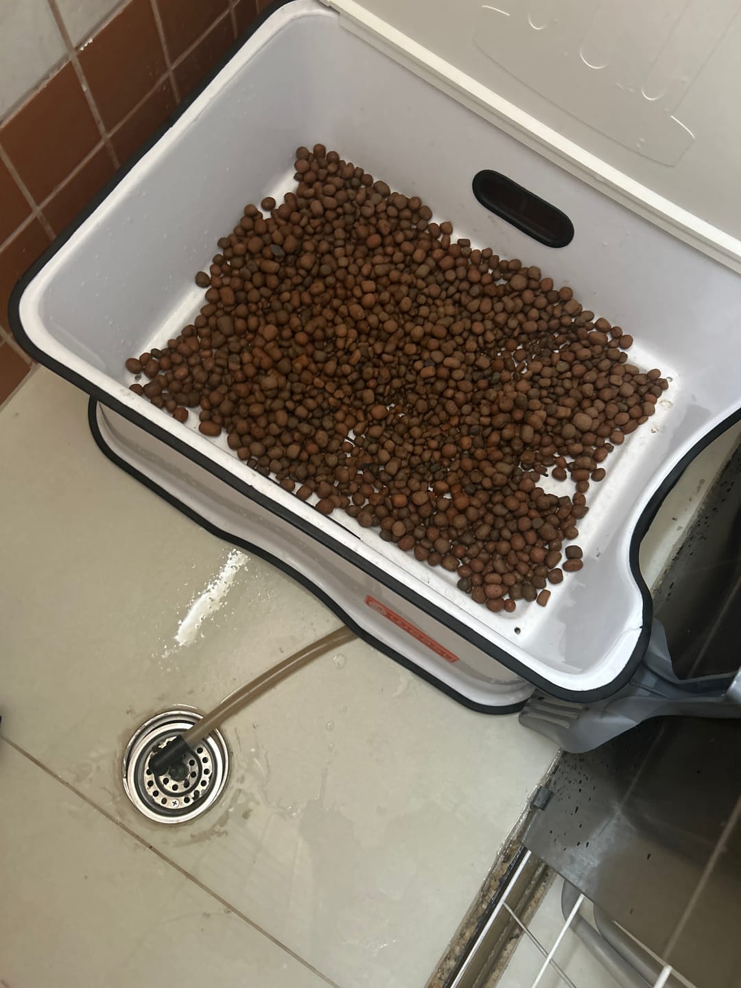 Customer photo review of Weasy Gato | Banheiro para gatos