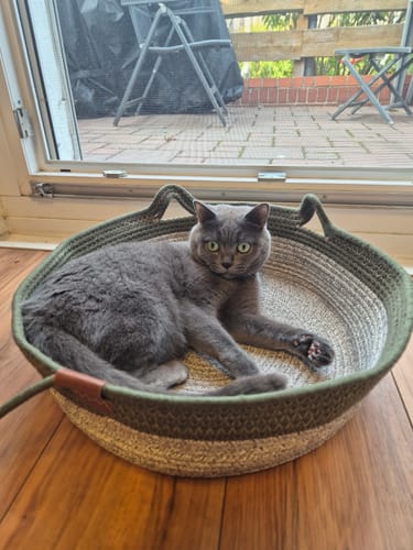 Kunde zeigt Fellnest Katzenkorb mit einer grauen Katze, die bequem im runden Korb liegt