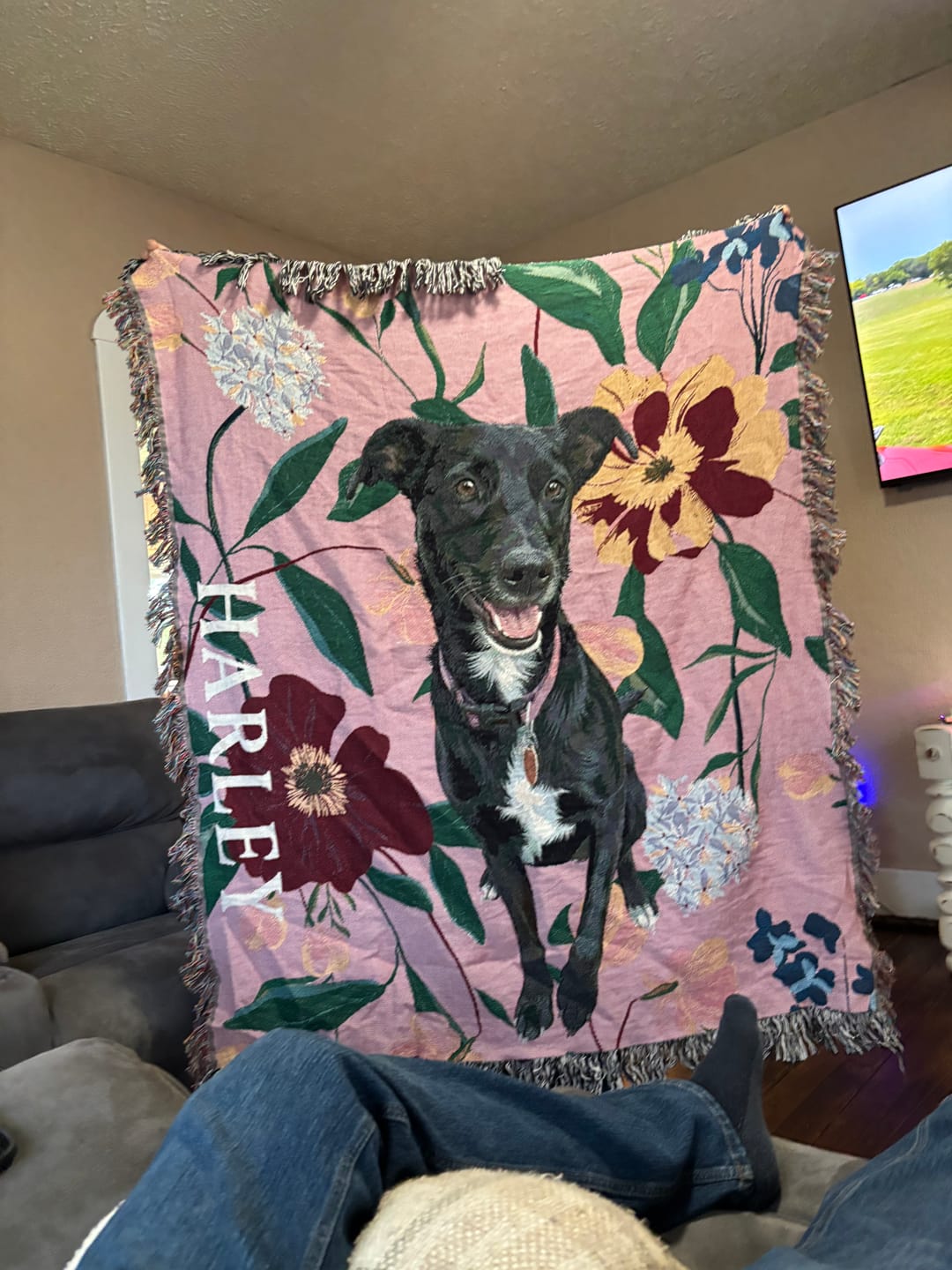 Customer photo review of Heirloom Pet Throw Blanket - Mauve Floral