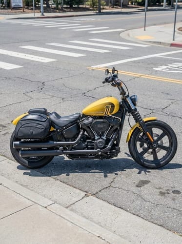 Customer photo review of 60L - Stealth XL Quick Mount Saddlebags for Harley Softail Street Bob FXBB/S