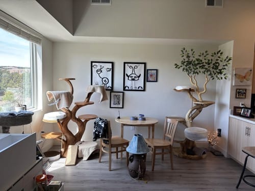Customer photo review of Custom Handmade Wooden Cat Tree Modern Large Climbing Tree Unique