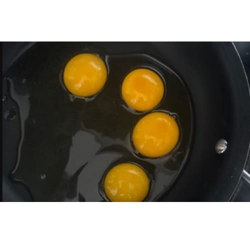 Customer photo review of Grano Gallinas