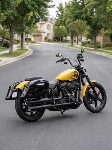 Customer photo review of 44L - Lamellar Stallion Extra Large Painted Motorcycle Hard Saddlebags for Harley Softail Street Bob FXBB/S