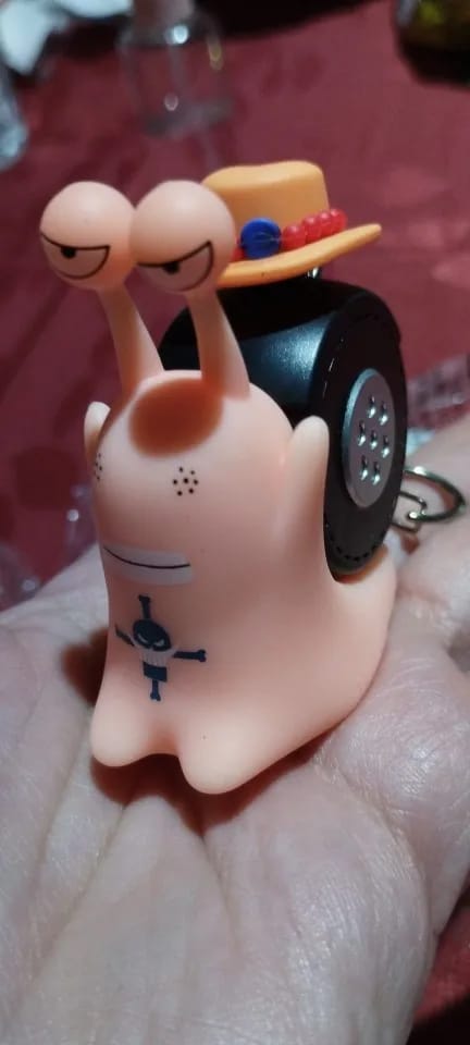 Customer photo review of Mushi Voice Grabadora