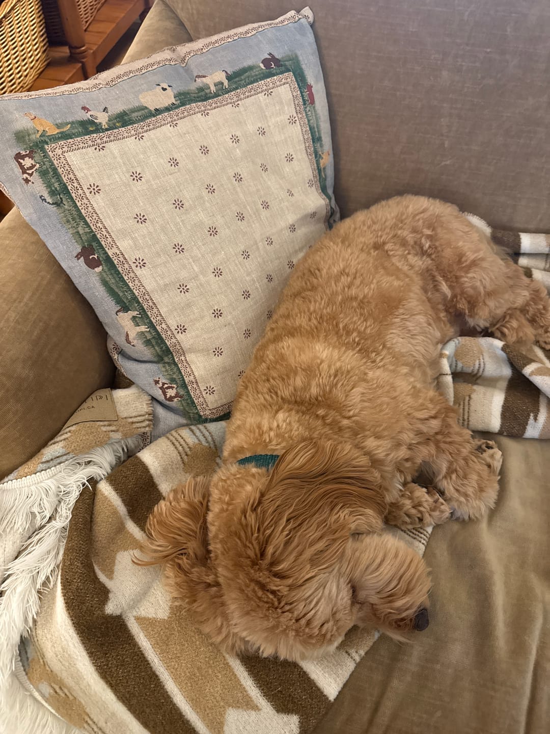 Customer photo review of Cushion Cover |Landscape Assorted