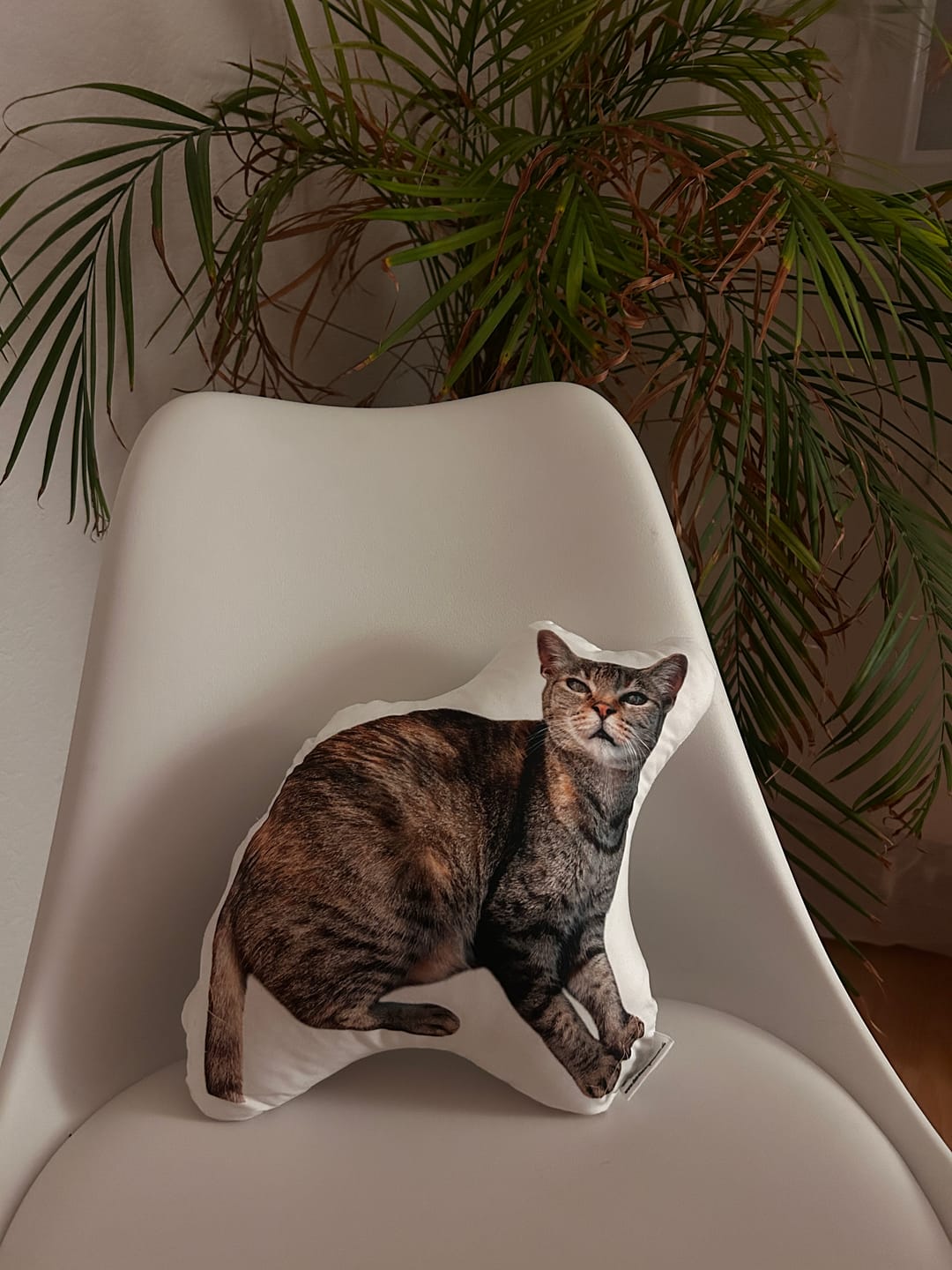 Customer photo review of Personalisiertes Katzenkissen