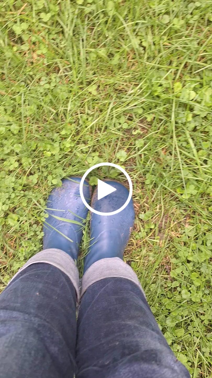Customer video review of Brisk Ⅰ - Barfuß-Gummistiefel
