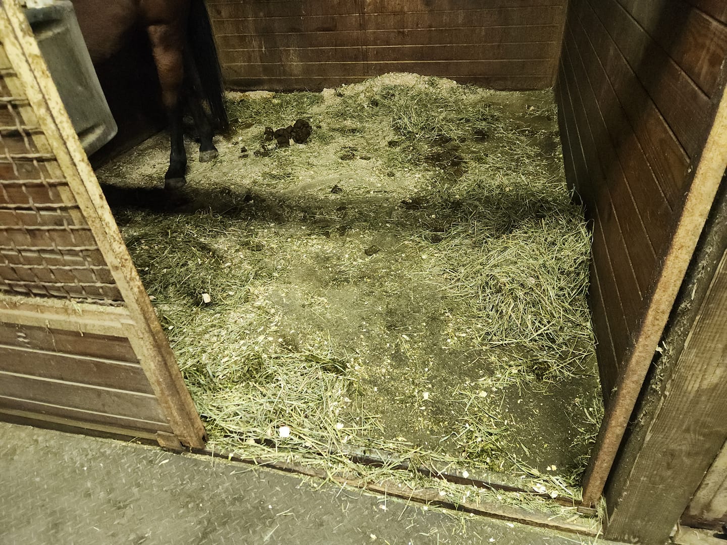 Customer photo review of Timothy Orchard Alfalfa Mix Hay (Click here for Qty Discount)