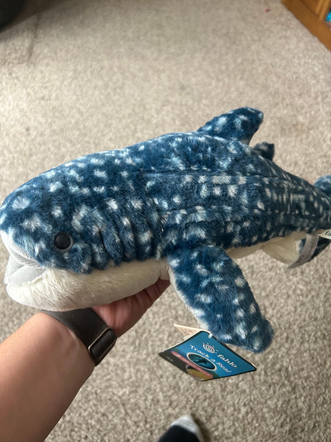 Customer photo review of The Quest Plush